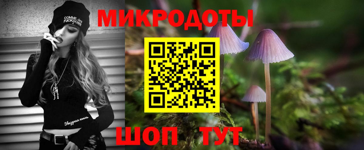 Отрадный  Псилоцибиновые грибы Psilocybine cubensis  Вход с VPN 